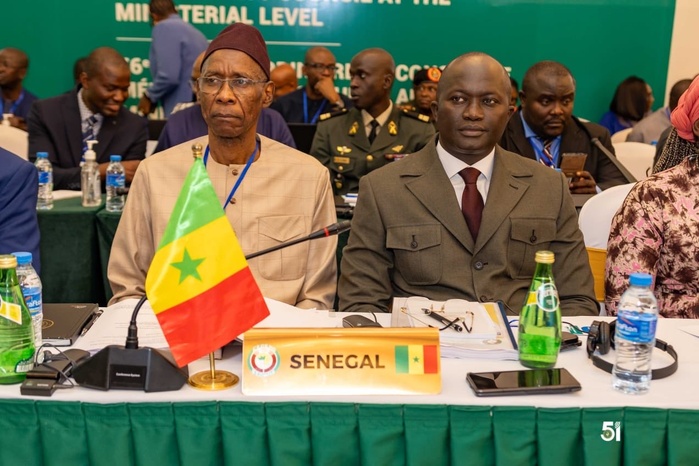 Conseil de médiation et de sécurité (CMS) de la CEDEAO: Les ministres Cheikh Niang et Yankhoba Diémé portent la voix du Sénégal