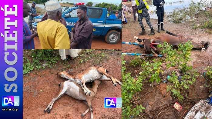 Fortes pluies à Latmingué : la victime perd aussi son cheval et ses chèvres (images)