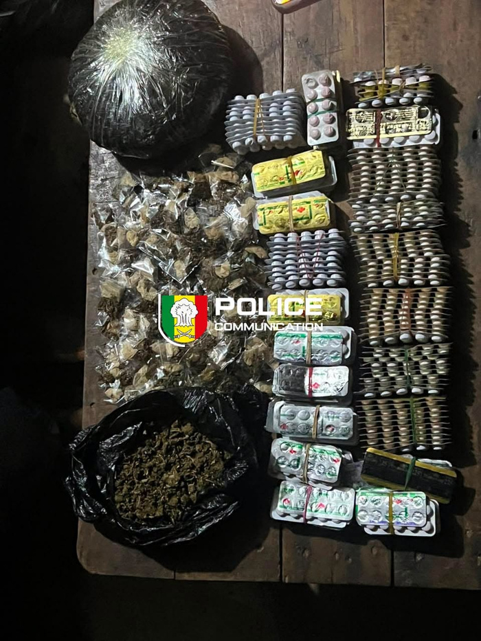 Kédougou : deux individus déférés après la saisie de 2 050 comprimés de Tramadol et 800 grammes de Kush