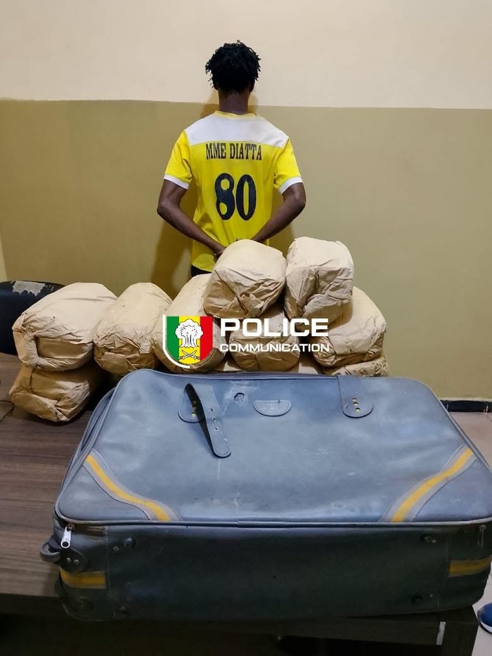 Ziguinchor : un individu interpellé avec 12 kilogrammes de chanvre indien Ziguinchor : un individu interpellé avec 12 kilogrammes de chanvre indien