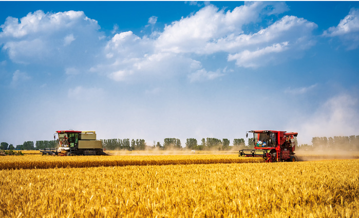 Plan quinquennal 2026-2030 pour l'agriculture : la sécurité alimentaire, un acquis à consolider