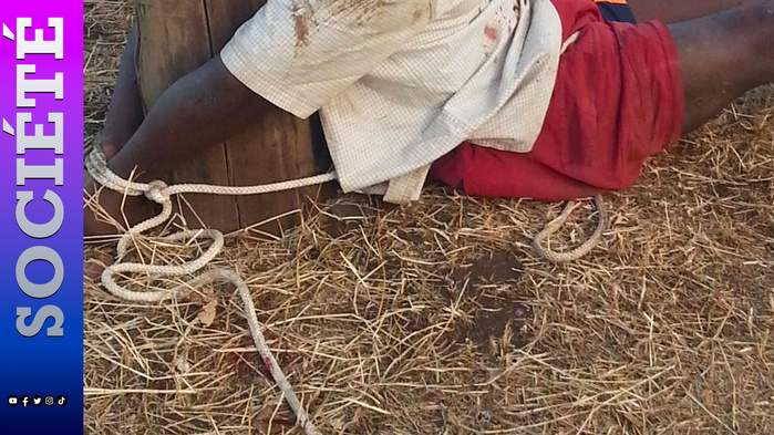 Kolda : surpris lors d’une tentative présumée de vol de bétail, Abdourahmane Ba ligoté puis violemment lynché