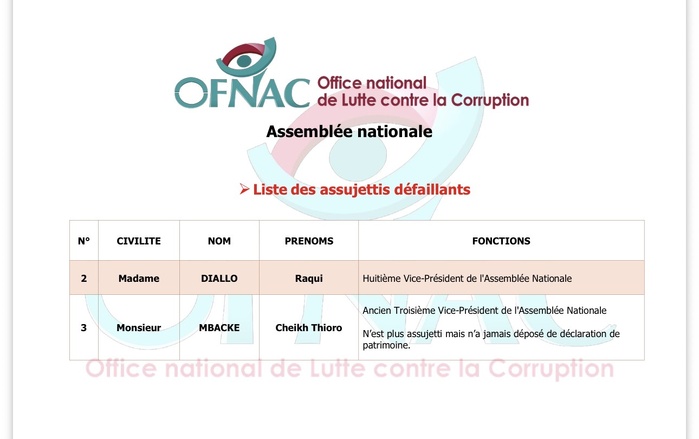 Patrimoine non déclaré : Neuf défaillants recensés entre la présidence et l’assemblée nationale