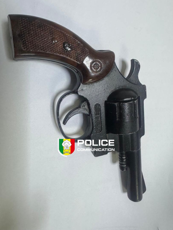 Patrouille pédestre  à Golf Sud : un individu interpellé avec un revolver, des couteaux et du chanvre indien