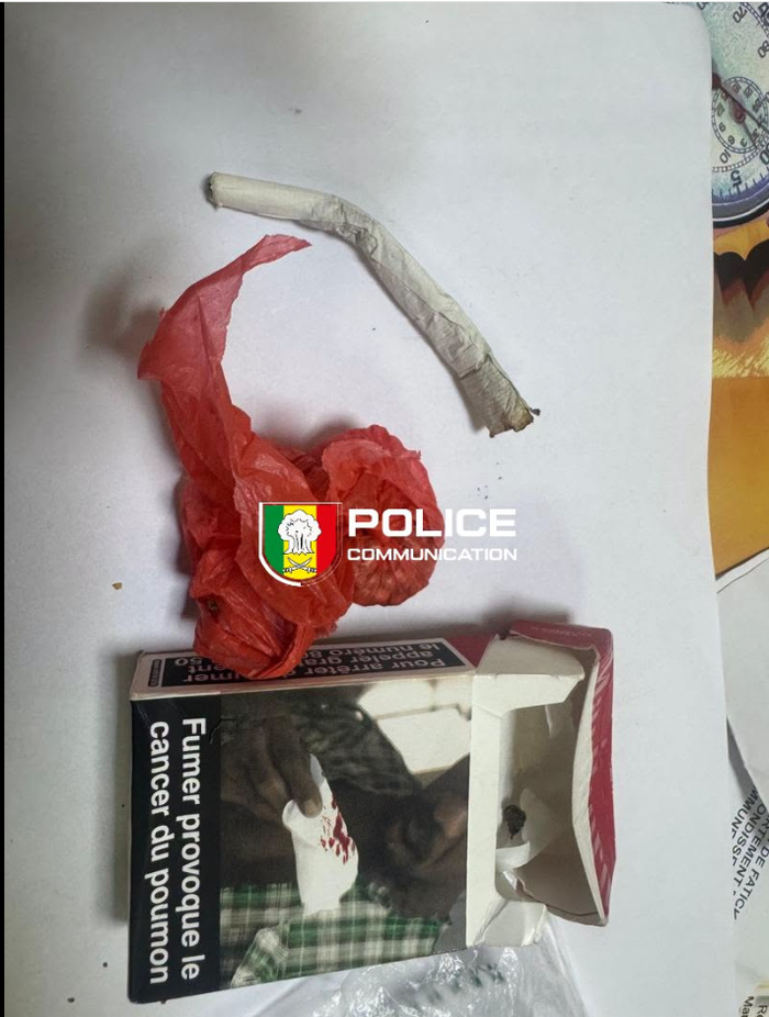 Patrouille pédestre à Golf Sud : un individu interpellé avec un revolver, des couteaux et du chanvre indien Patrouille pédestre à Golf Sud : un individu interpellé avec un revolver, des couteaux et du chanvre indien