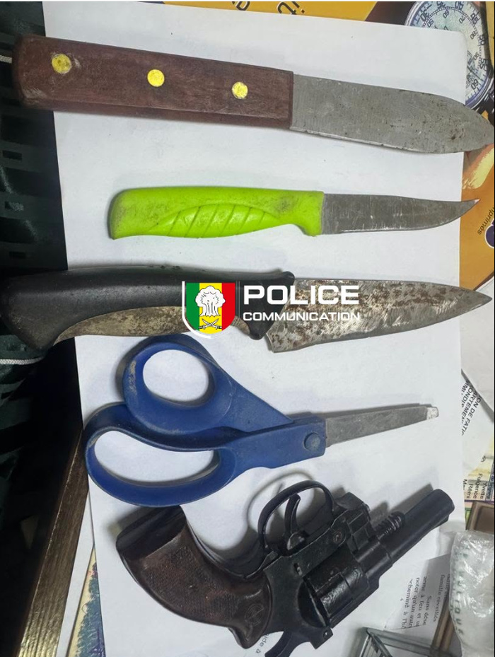 Patrouille pédestre à Golf Sud : un individu interpellé avec un revolver, des couteaux et du chanvre indien Patrouille pédestre à Golf Sud : un individu interpellé avec un revolver, des couteaux et du chanvre indien