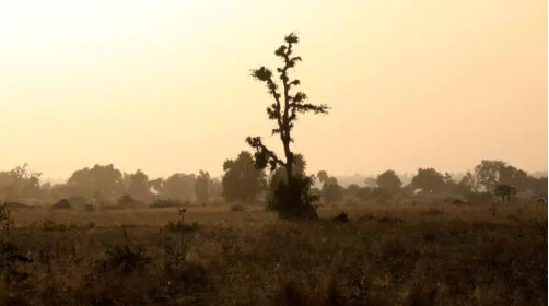 Nord-ouest du Nigeria: dix policiers tués lors d'un affrontement avec des bandits