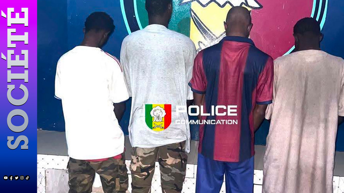 Touba : une plainte pour viol collectif, vidéos compromettantes et chantage sexuel conduit à plusieurs interpellations à Ndamatou