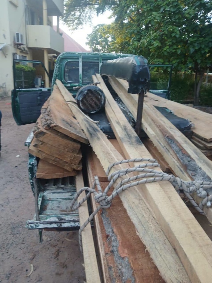 Lutte contre le trafic illicite de bois à Vélingara : Le service des eaux et forêts saisit 7 machines de sciage,15 billons de bois de kapokier... Lutte contre le trafic illicite de bois à Vélingara : Le service des eaux et forêts saisit 7 machines de sciage,15 billons de bois de kapokier...