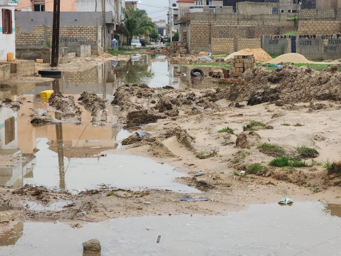 Inondations et enclavement des cités Oasis, Port, Air France et Darou Thioub : le Comité local de développement tire la sonnette d’alarme Inondations et enclavement des cités Oasis, Port, Air France et Darou Thioub : le Comité local de développement tire la sonnette d’alarme