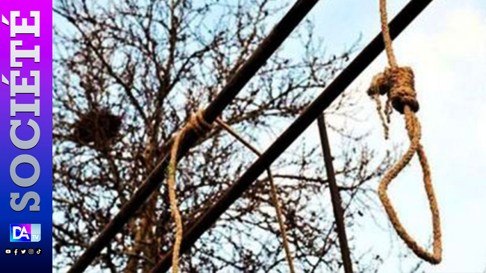 Thiès: un homme retrouvé pendu dans son verger Thiès: un homme retrouvé pendu dans son verger