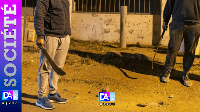 Grand-Yoff : Deux coups de machette à la tête et à la gorge contre un mécanicien, le suspect arrêté six jours plus tard