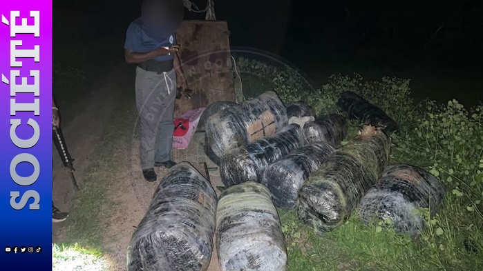 Mbodiène : 375 kilos de chanvre indien saisis après la fuite d’un groupe armé de machettes
