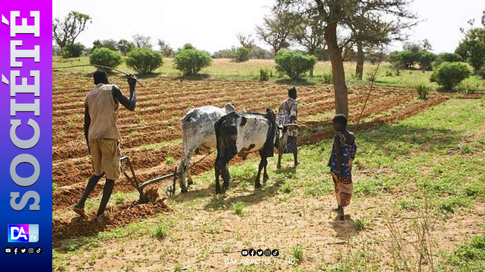 « L’Agriculture régénératrice en Afrique de l’Ouest – Vision 2050 »: une nouvelle réflexion pour transformer les territoires