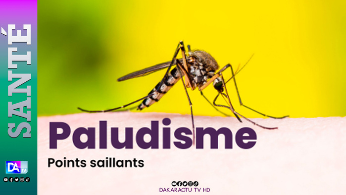 Paludisme : les décès reculent au Sénégal, mais le financement de l’élimination reste à trouver