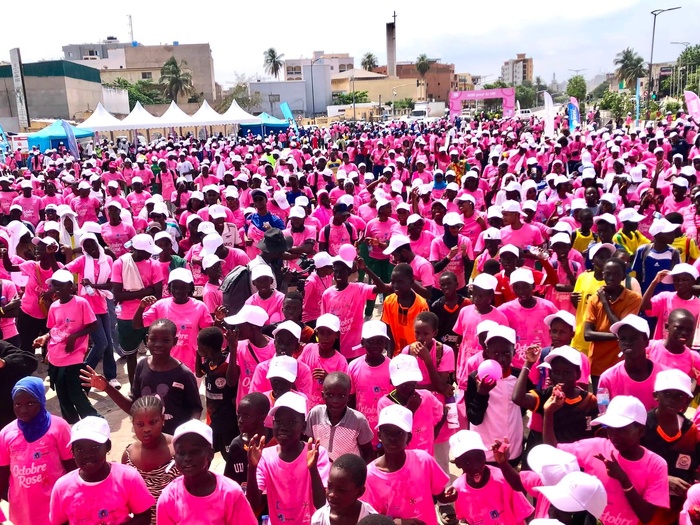 Octobre Rose : « 2 220 nouveaux cas dont plus de 1 300 décès », les chiffres du cancer du sein au Sénégal Octobre Rose : « 2 220 nouveaux cas dont plus de 1 300 décès », les chiffres du cancer du sein au Sénégal