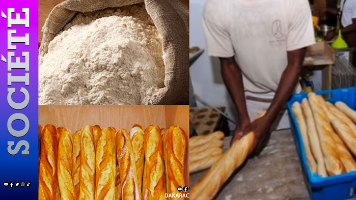 Farine au Sénégal / Blé, fret et assurances : les meuniers alertent sur les coûts d’approvisionnement et l’équilibre de la filière