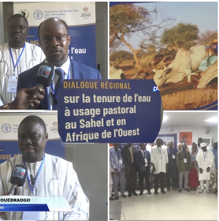 Pastoralisme : Les infrastructures de captage de l'eau encore insuffisantes en Afrique de l'Ouest (étude)