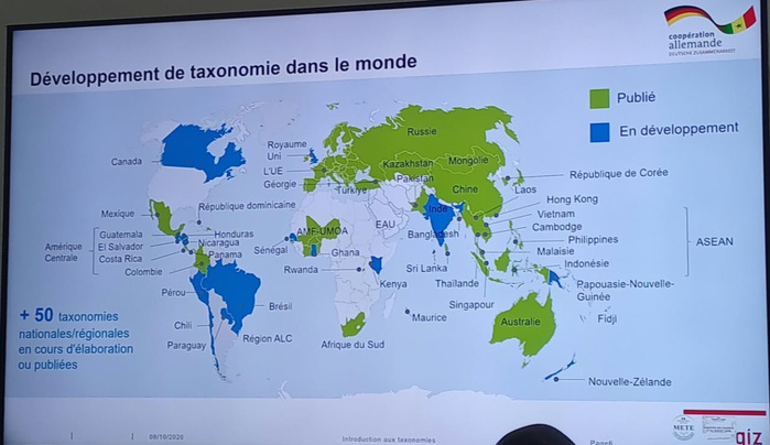 Finance durable : le Sénégal prépare le lancement de sa Taxonomie verte Finance durable : le Sénégal prépare le lancement de sa Taxonomie verte