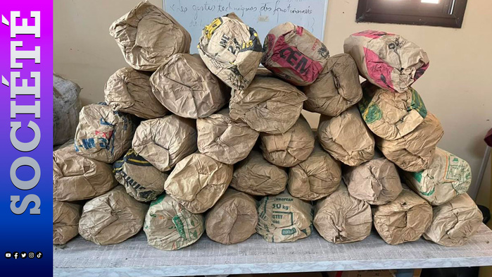 Saly Coulang : 39 kilos de chanvre indien saisis sur la plage, deux suspects en fuite
