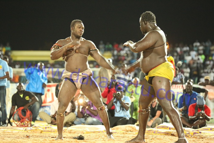 Les images du combat de Modou Lô contre Gris Bordeaux au stade Demba Diop Les images du combat de Modou Lô contre Gris Bordeaux au stade Demba Diop