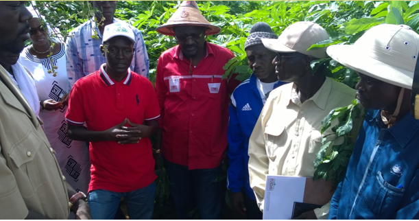 Le Ministre de l’Agriculture et de l’Equipement rural, Dr Papa Abdoulaye Seck à Gnith (Images)