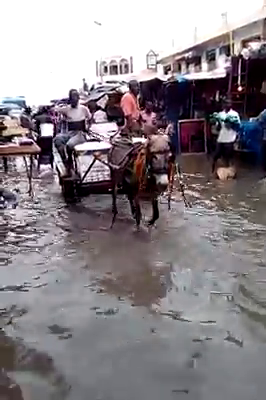 TOUBA, LE MARCHÉ OCASS SOUS LES EAUX - La mairie dépassée par les évènements