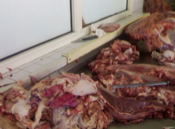 Viande avariée : 10 tonnes saisies à Matam