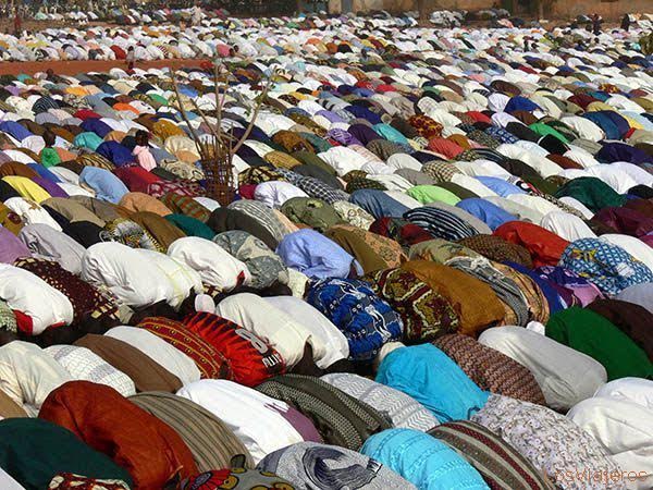 Etude Timbuktu  Institute : Pourquoi les tendances « rassurantes » ont été occultées ?