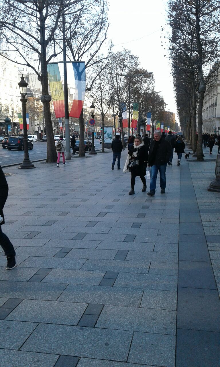 Le drapeau du Sénégal flotte sur les Champs Elysées et sur l'avenue des Ternes