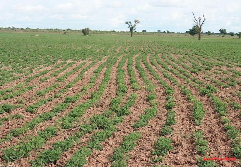 PRODAC : Bizarrerie autour du démarrage du programme Green 2000