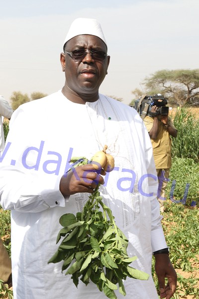 Macky Sall pour la valorisation des terres non exploitées par les populations
