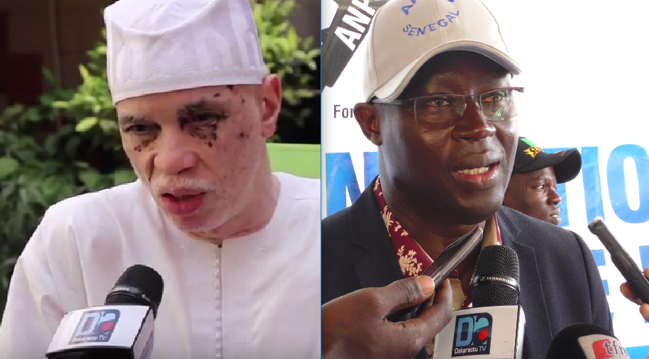 Résultat de recherche d'images pour "mbaye diouf dia et augustin senghor"