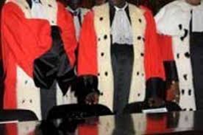 UMS : Téliko bat Magatte Diop avec plus de 40 voix