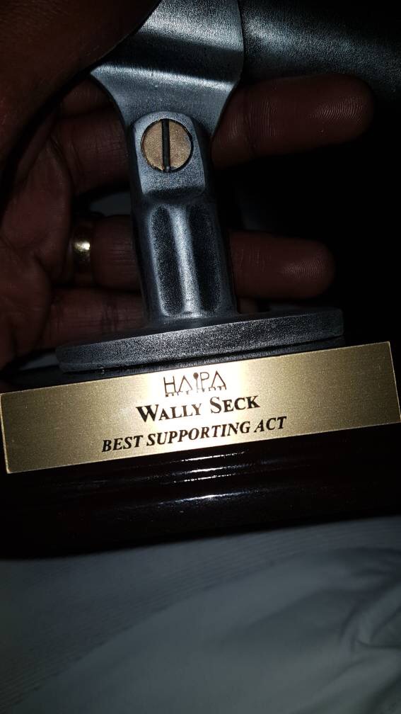 HAPA AWARDS 2017 : Wally Ballago Seck remporte deux trophées