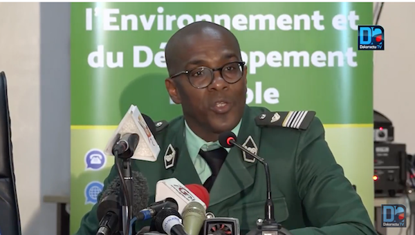 Le colonel Baïdy Ba fait le point sur les performances des Eaux et Forêts : "Près de 900 millions versés dans les caisses de l'Etat..."