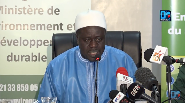 Lendemains de tuerie en Casamance : les autorisations de coupe de bois officiellement suspendues  