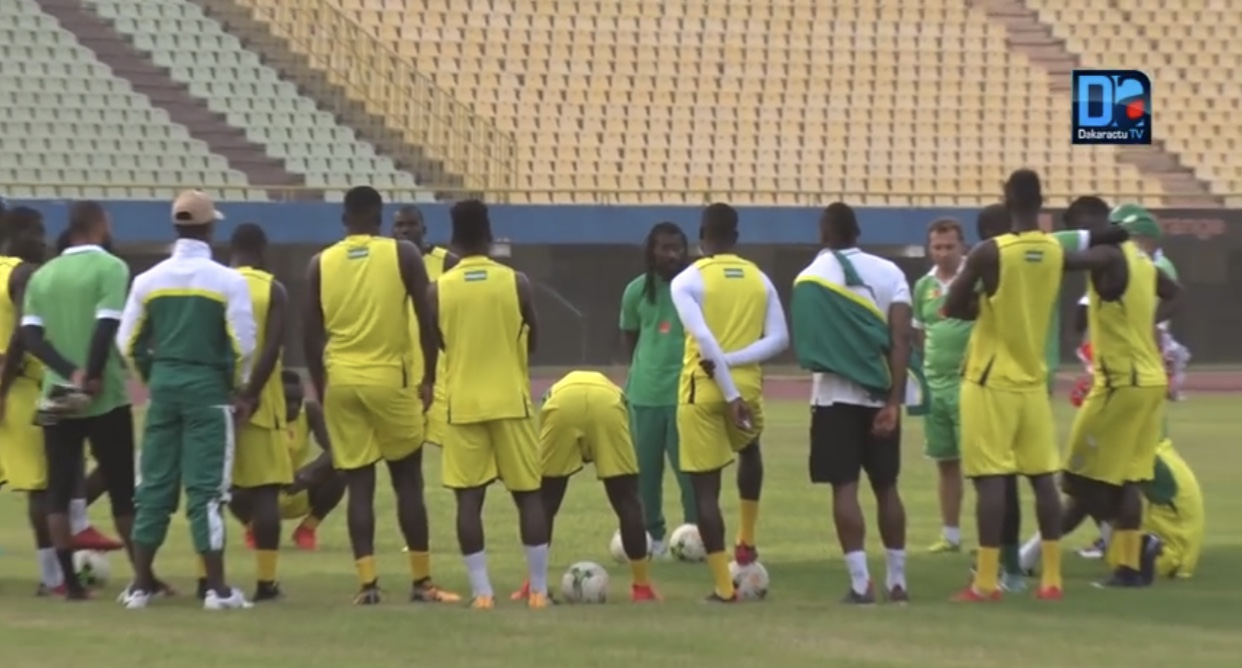 Les Lions au repos vendredi, deux séances d'entraînement par jour à partir de ce samedi