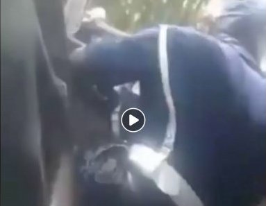 RACKET SUR UN CONDUCTEUR : Filmé, le gendarme B. Diémé, aux arrêts