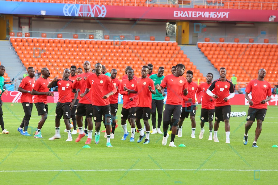 Ekaterinbourg : Les images de la dernière séance d'entraînement des Lions devant d'affronter le Japon 
