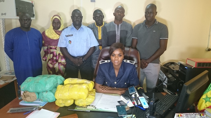 Kaolack : 14 kg de chanvre indien saisis en l'espace de 3 jours 