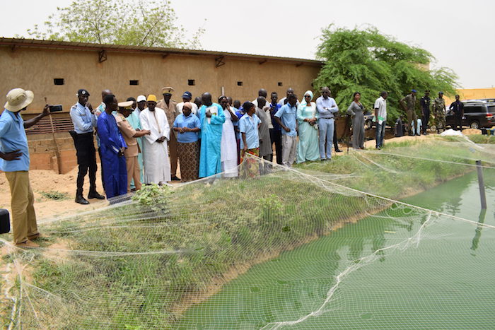 Aquaculture : Le gouvernement compte porter à 50.000 tonnes la production aquacole du Sénégal en 2023