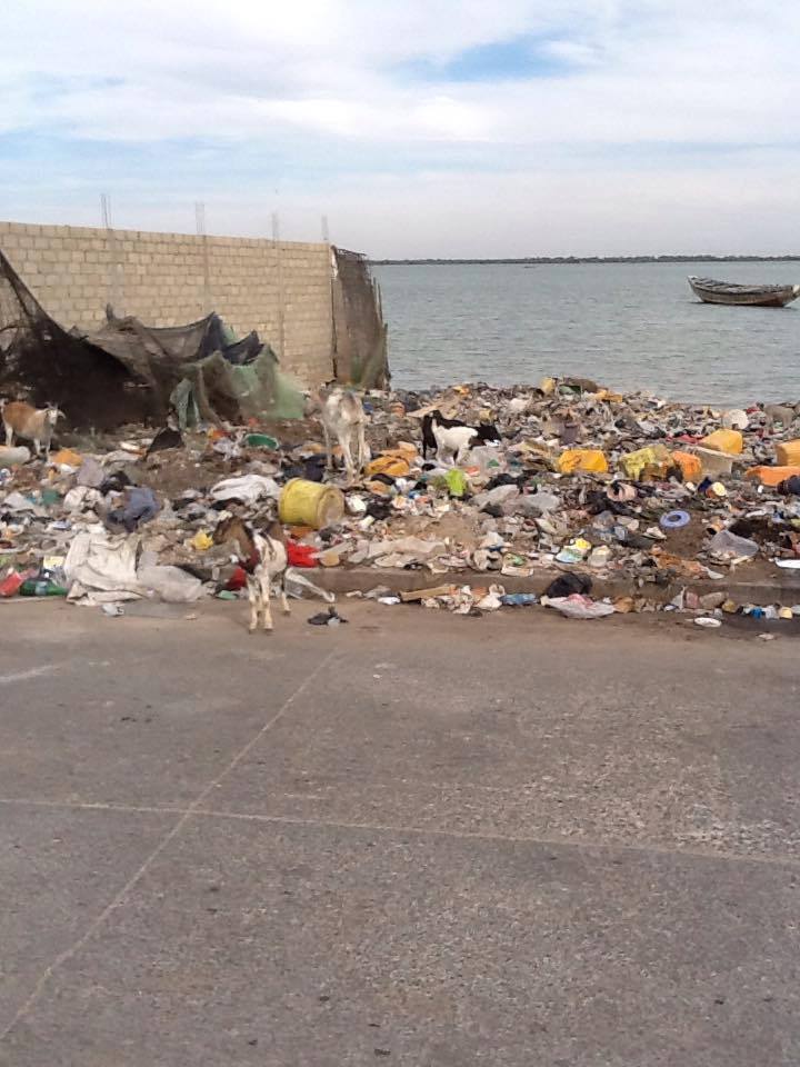 SAINT-LOUIS - Insalubrité dans le quartier de Gokhou-Mbathie : Les populations tirent la sonnette d’alarme