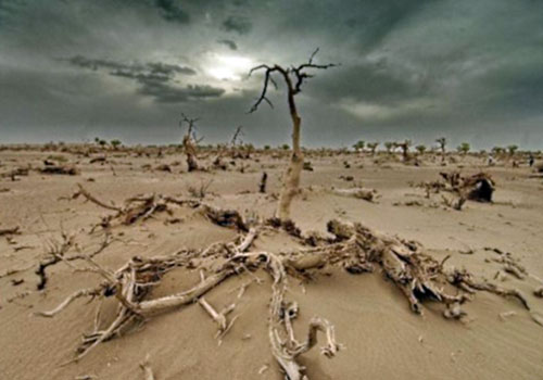 Le déficit pluviométrique est-il inhérent à la colère divine, à la crise environnementale et/ou aux méfaits du régime