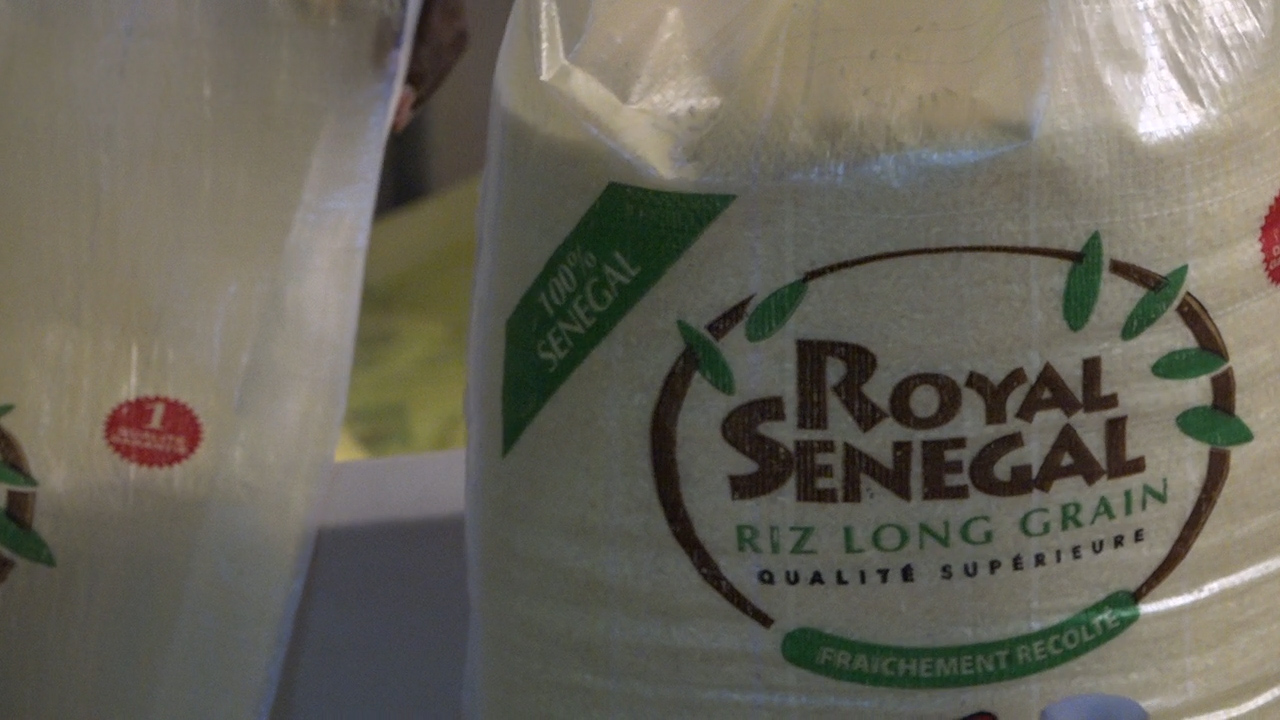 Compagnie agricole de Saint-Louis (Casl) :  Les bons points de la riziculture dans la vallée