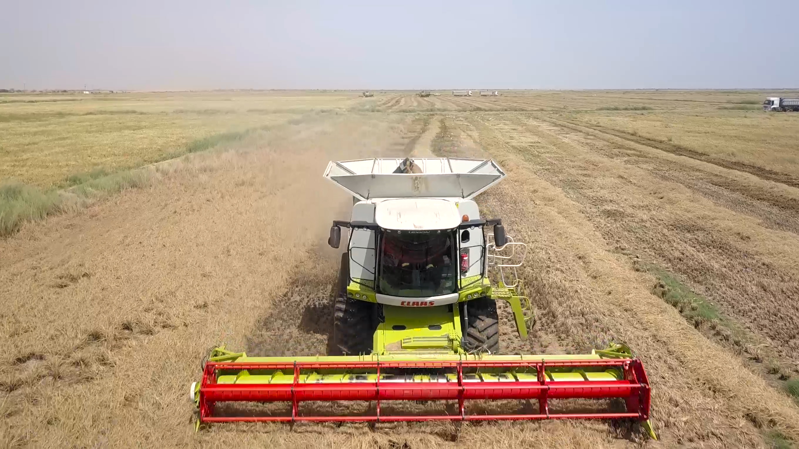 Compagnie agricole de Saint-Louis (Casl) :  Les bons points de la riziculture dans la vallée