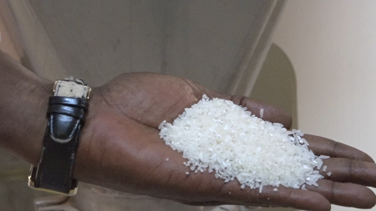 Compagnie agricole de Saint-Louis (Casl) :  Les bons points de la riziculture dans la vallée