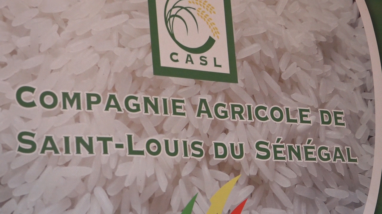 Compagnie agricole de Saint-Louis (Casl) :  Les bons points de la riziculture dans la vallée