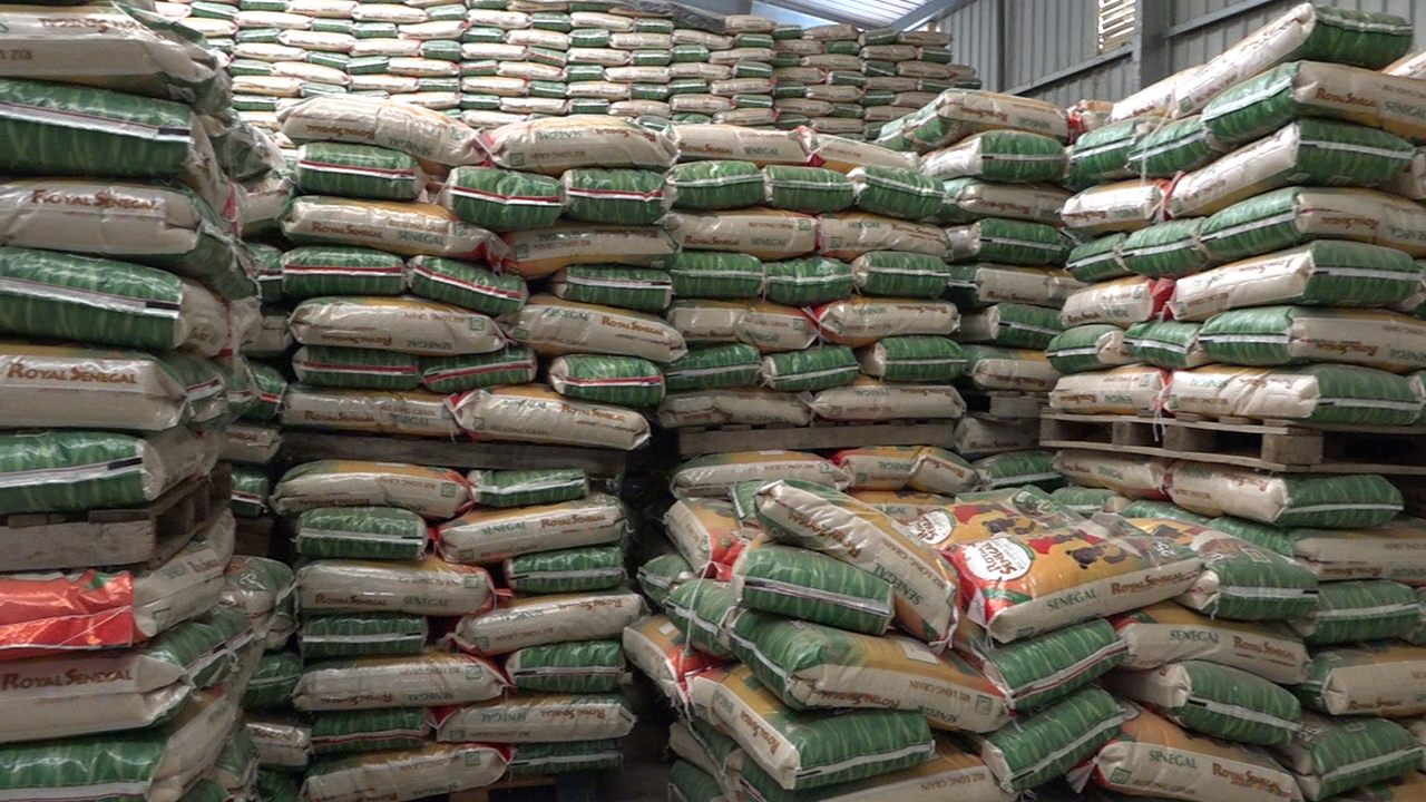 Compagnie agricole de Saint-Louis (Casl) :  Les bons points de la riziculture dans la vallée