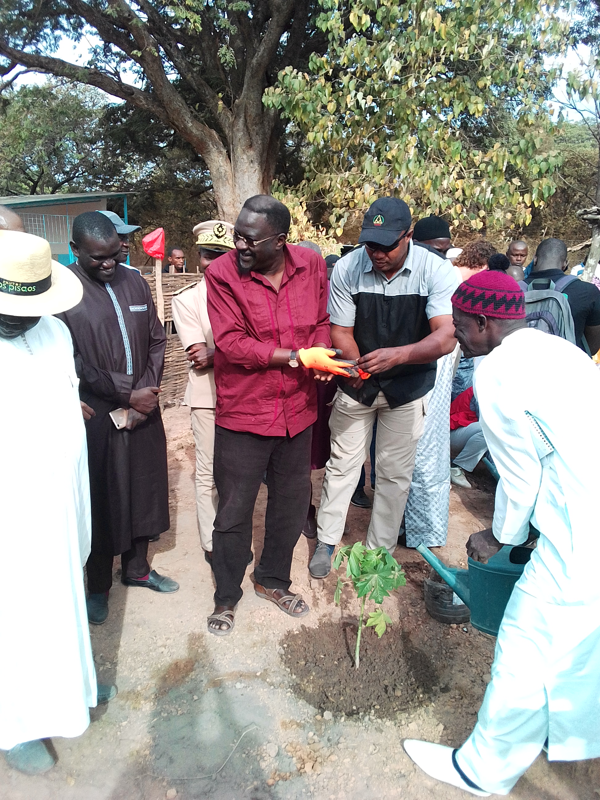 En visite inaugurale à Kolda, le ministre de l’agriculture et de l ...
